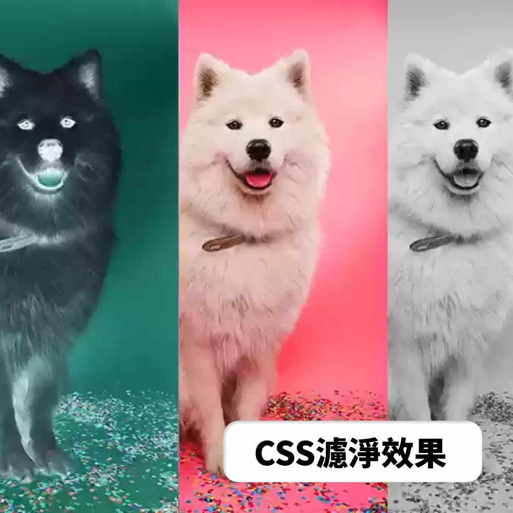 想讓你的照片更具風格嗎？使用 CSS 濾鏡效果可以輕鬆實現模糊、高斯模糊、調整明亮度、黑白效果等。這篇教學將展示如何使用 CSS 濾鏡，讓你的網站照片更具吸引力，節省大量修圖時間。